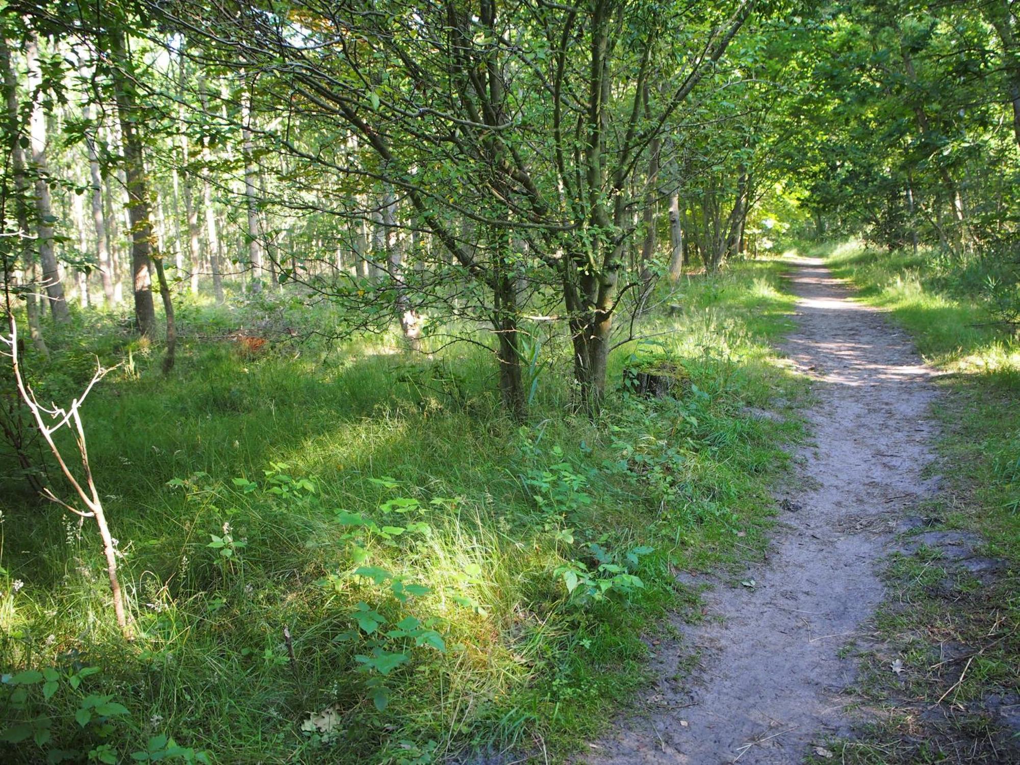 Komfortowy Domek Natura, W Poblizu Nadmorskiego Parku Krajobrazowego, 800 M Od Plazy Karwienskie Bloto Drugie Exterior foto
